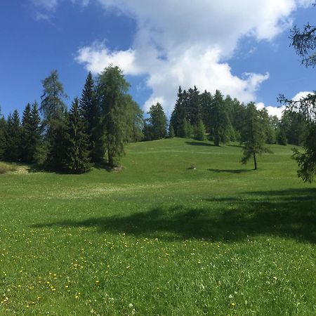 Wellness e Resort Stella Delle Alpi Ronzone Esterno foto