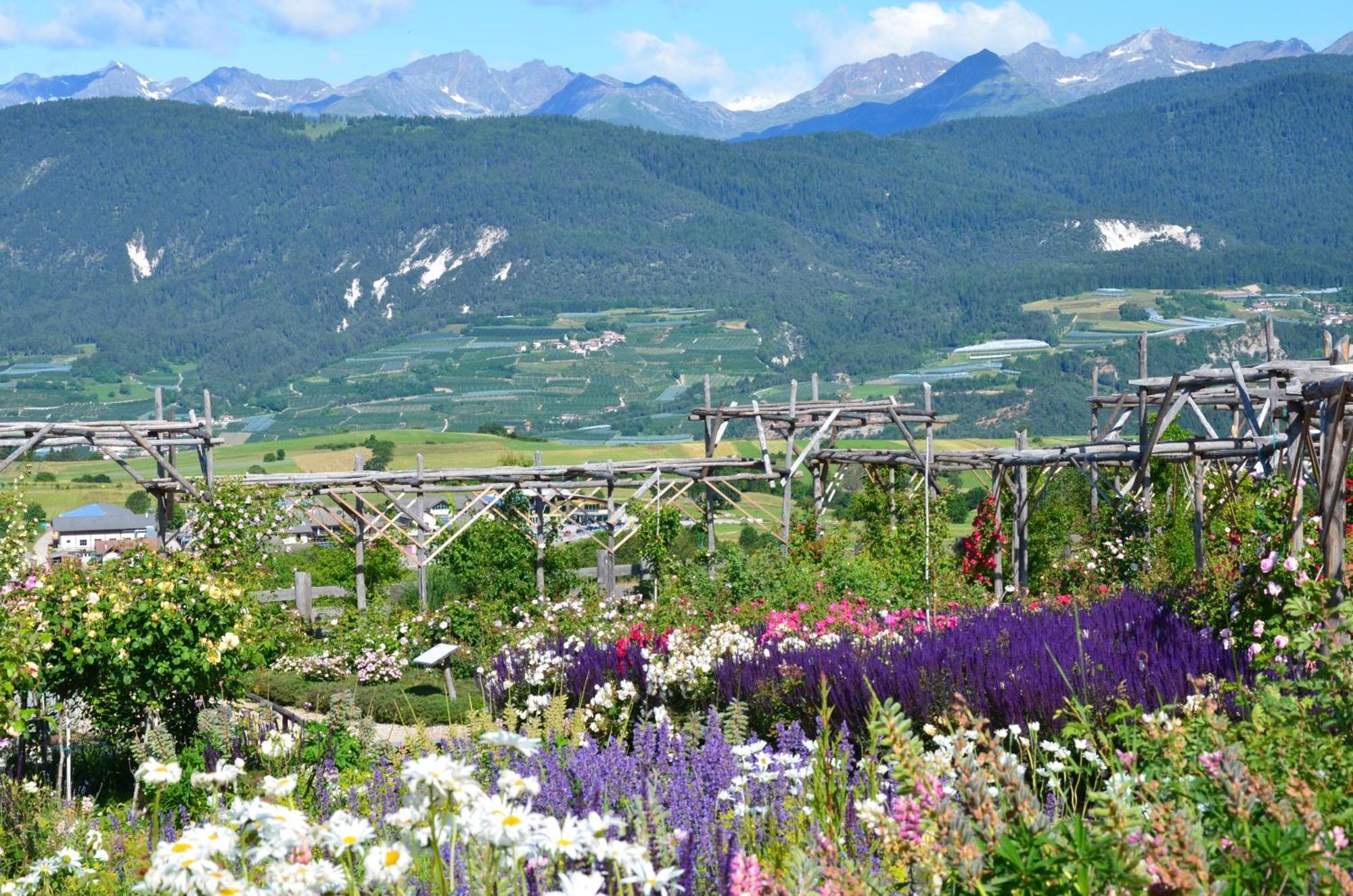 Wellness e Resort Stella Delle Alpi Ronzone Esterno foto