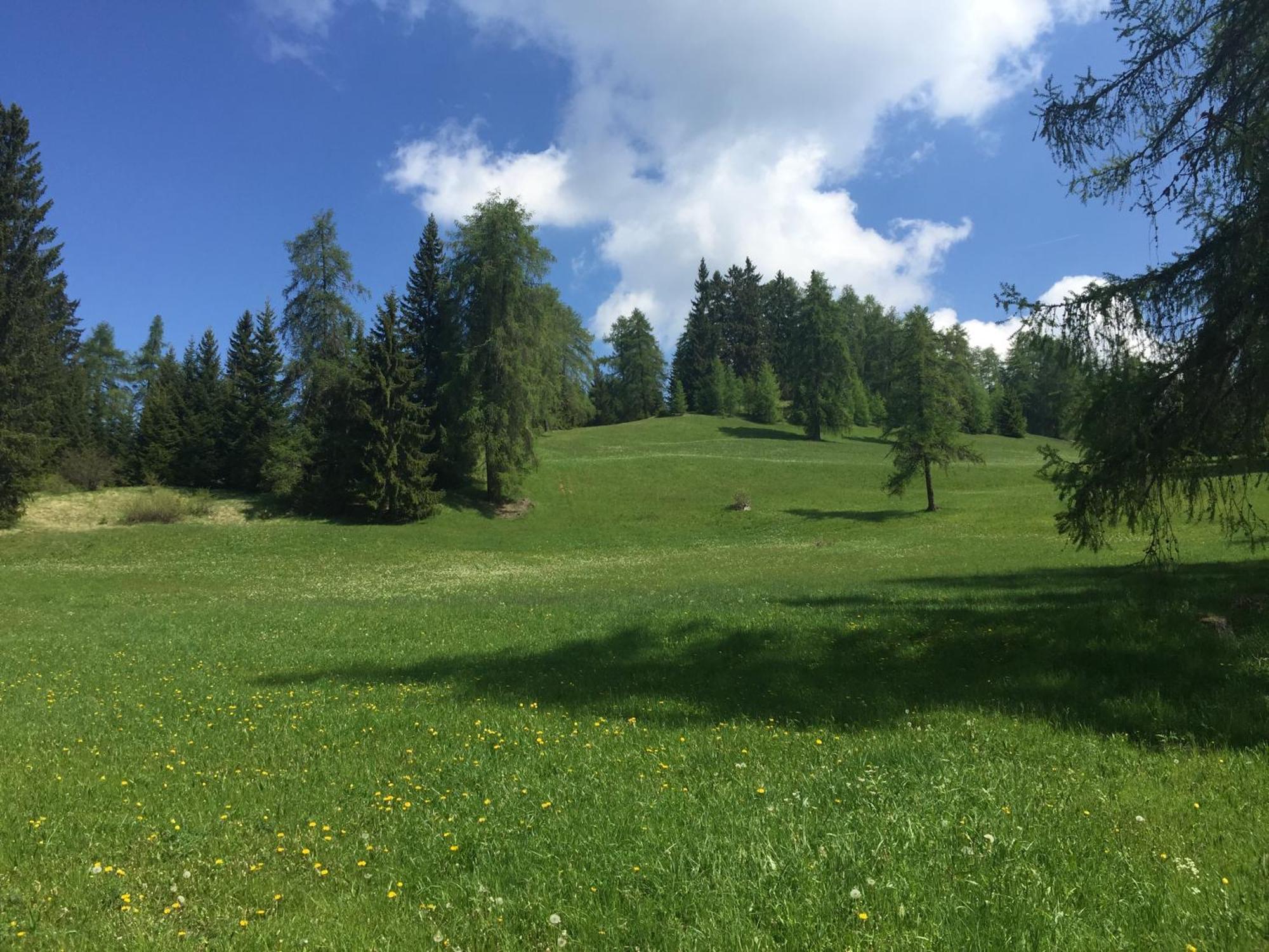 Wellness e Resort Stella Delle Alpi Ronzone Esterno foto